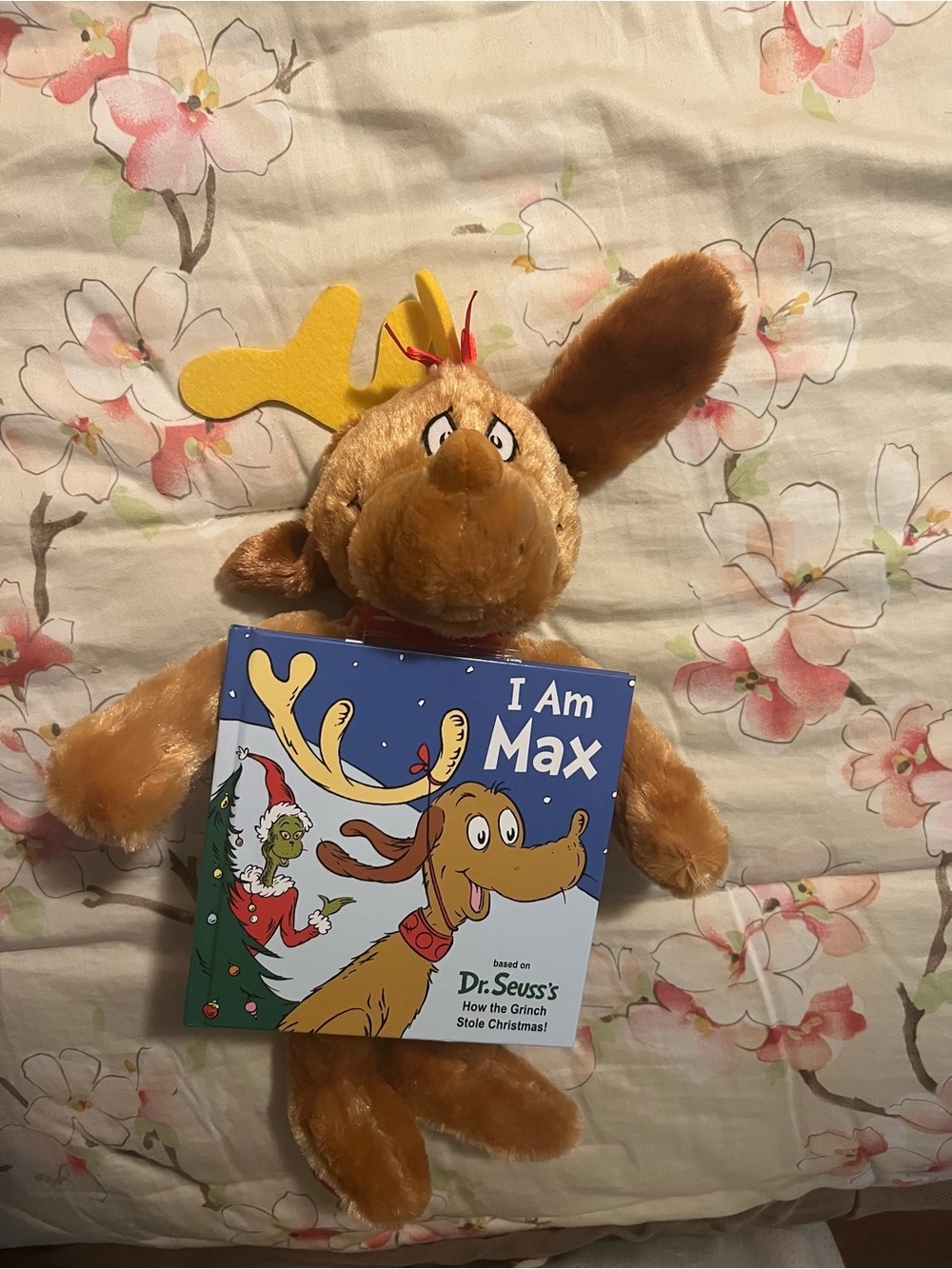 I Am Max Book & Plush Kohl's Cares Dr. Seuss How the Grinch Stole Christmas